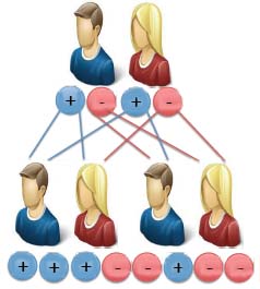 For a person to have Cystic Fibrosis, each parent needs to be a carrier of the gene mutation which creates the disease. If both parents are carriers, the child has a one in four chance of developing the disease.